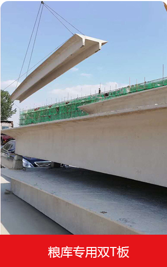 糧庫(kù)專用雙T板